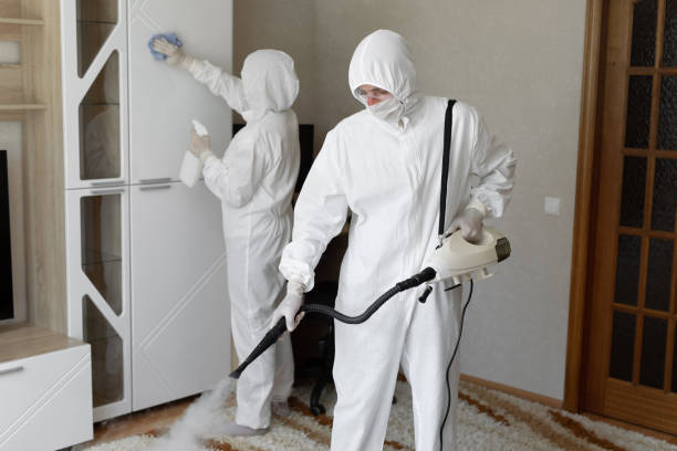 Affordable Sewage Cleanup solutions in Quincy, IL